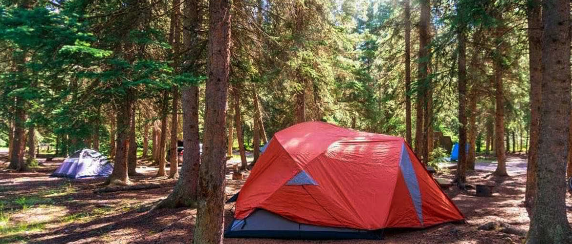 Tent in forested campground